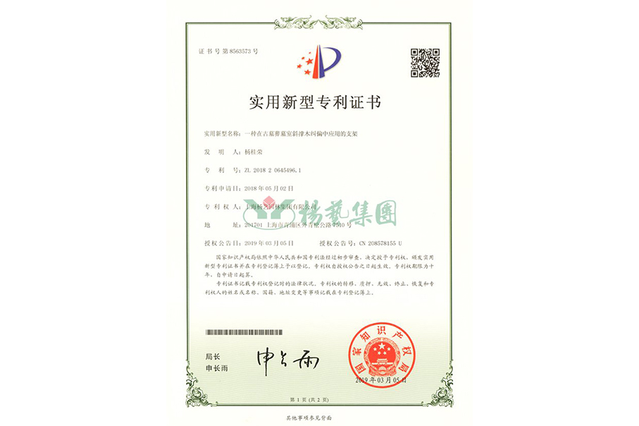 实用新型专利：一种在古墓葬墓室斜撑木纠偏中