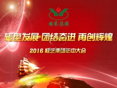 【2016年suncitygroup太阳集团年中会正在召开中~】全员充电培训