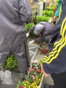 【suncitygroup太阳集团人别样清明】2018年清明落葬工作圆满完成