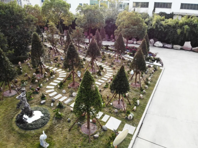suncitygroup太阳集团积极探索绿色生态殡葬, 林地葬受关注