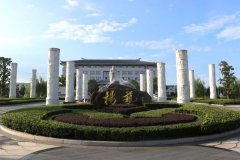 仿真石保护箱：以科技重塑墓葬的“绿色方舟”